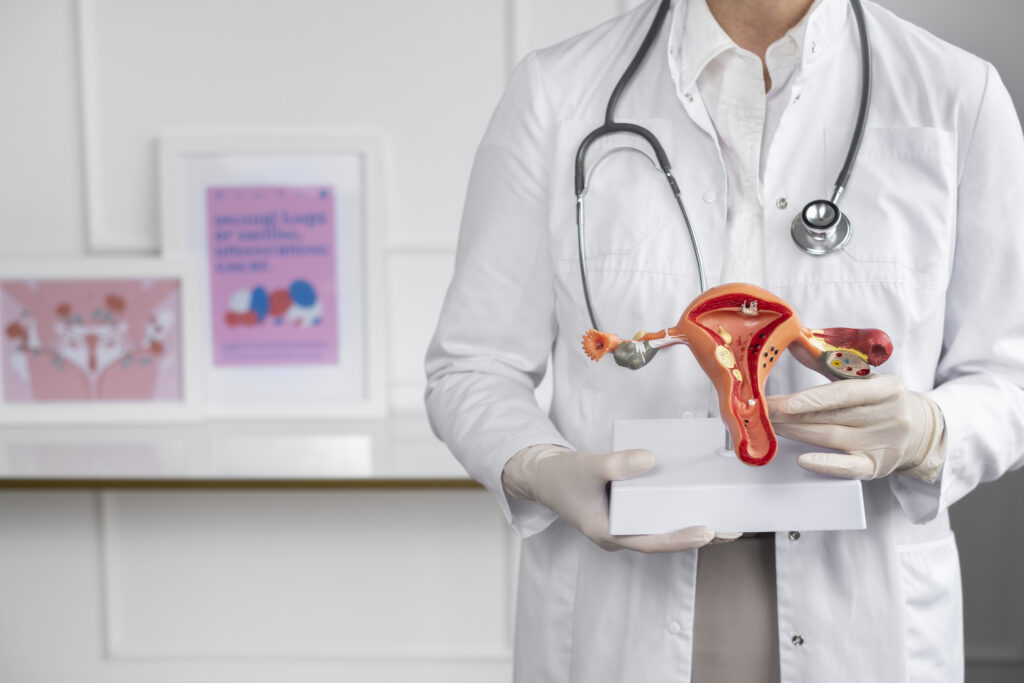 front-view-doctor-holding-anatomic-model PCOS vs PCOD: Causes, Symptoms, Diet, Treatment & Cure | Ultimate Guide