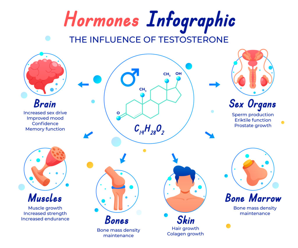 10050721 How to Naturally Increase Testosterone Without Steroids: The Complete Evidence-Based Guide