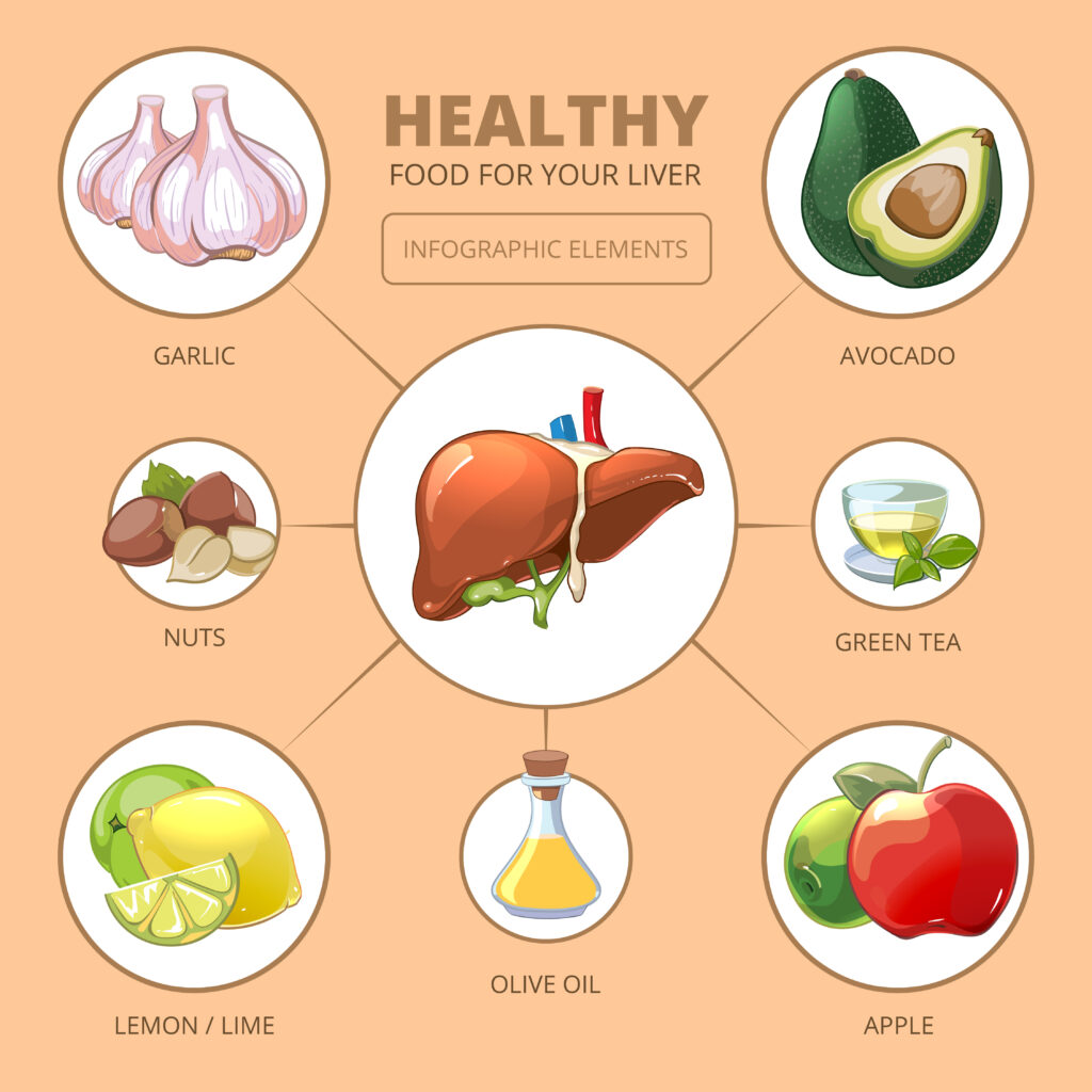 Healthy foods for liver. Medical health infographic Fatty Liver 1500 Cal Diet Plan (Indian & US Version)(Science-Based Guide)