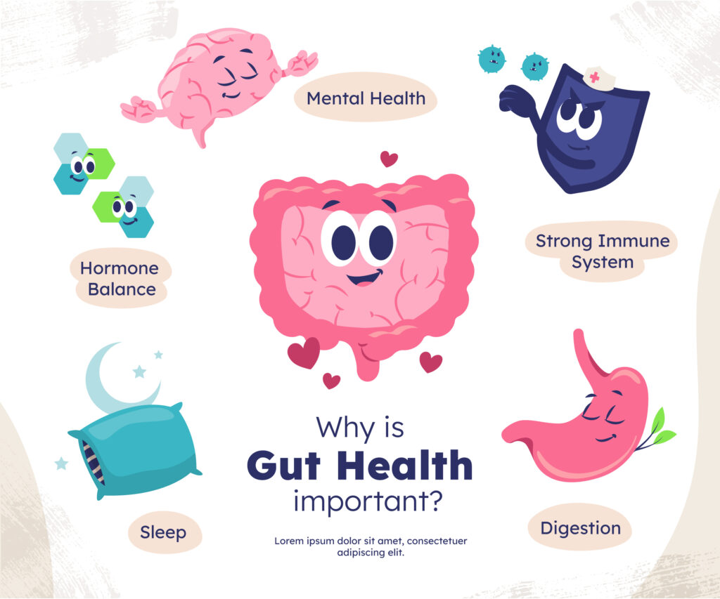 9343996 The Complete Guide to Gut Health: Understanding, Improving, and Maintaining Your Digestive Wellness